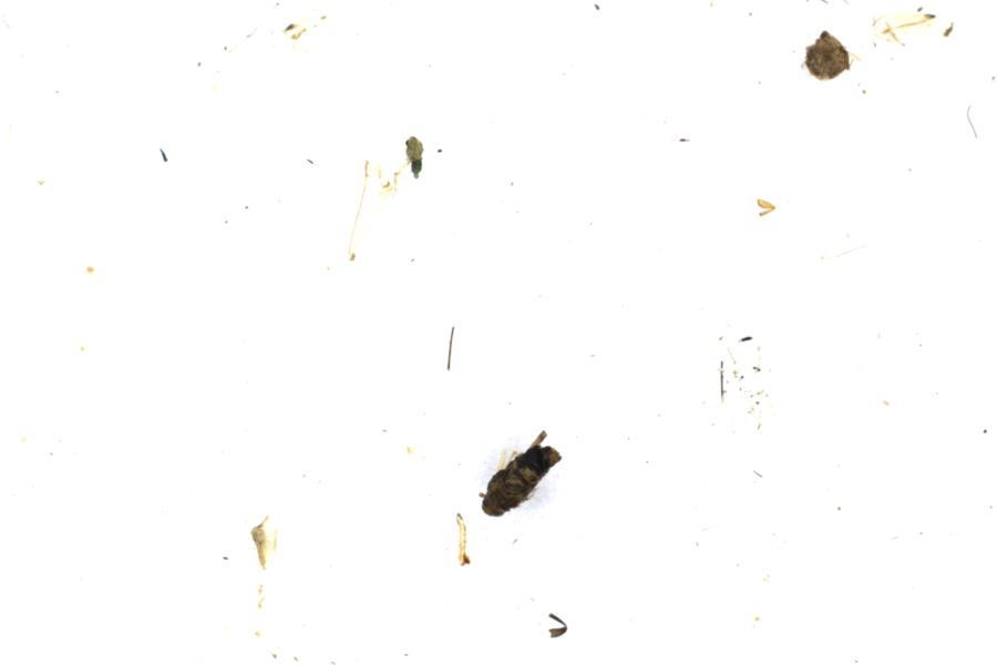 Image 113